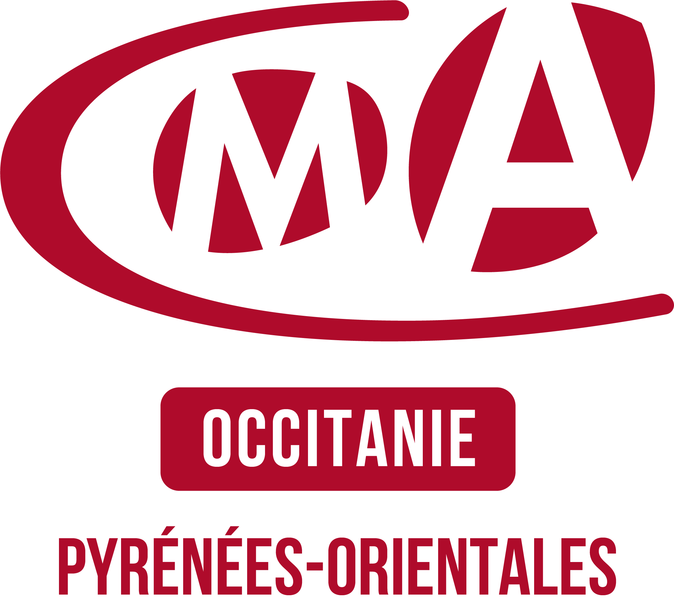 LOGO PARTENAIRE (CMA)